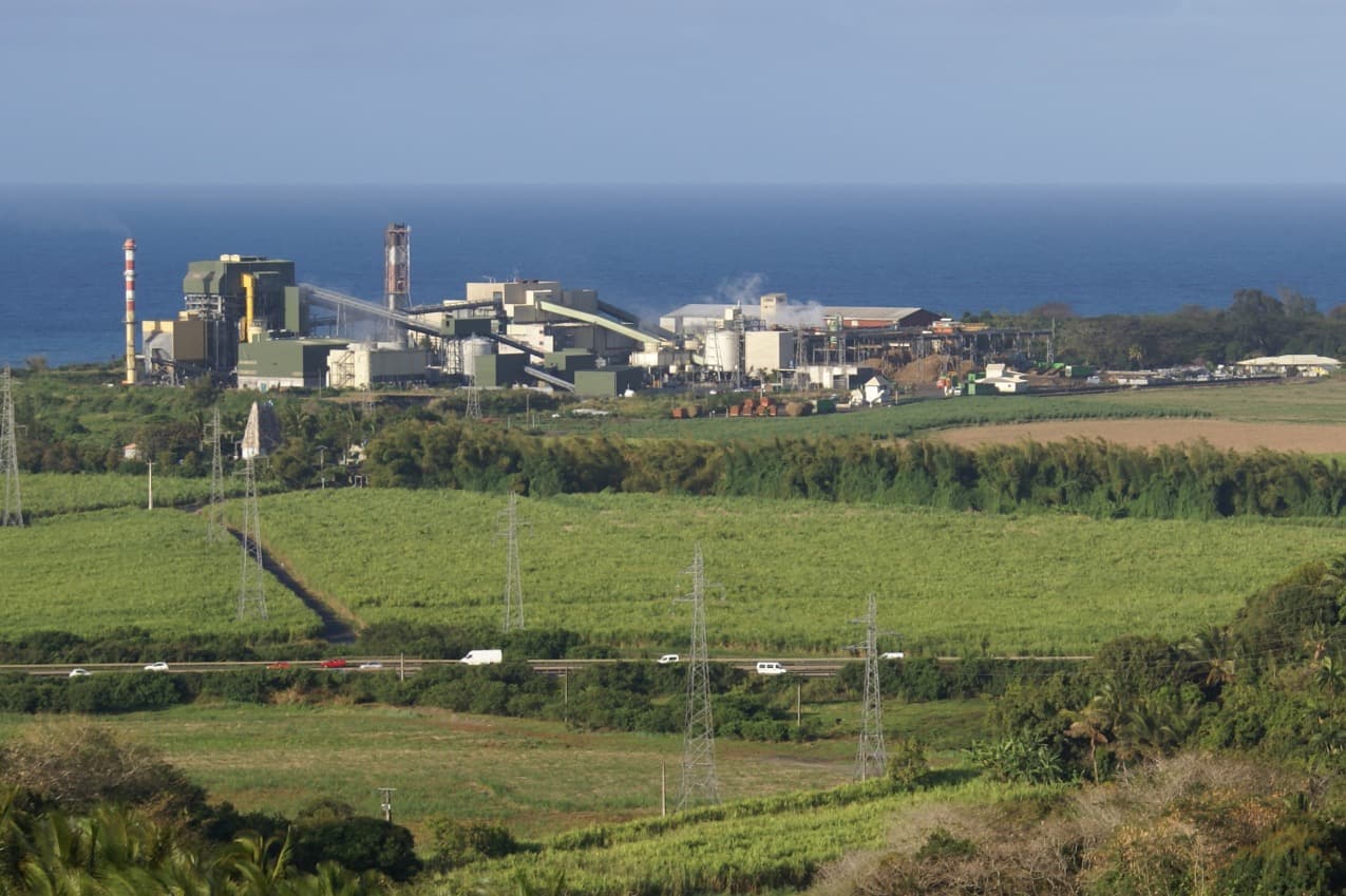 Distillerie de Savanna et Sucrerie de Bois Rouge